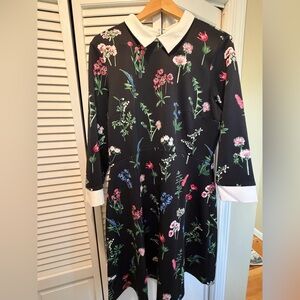 Pappagallo Black Floral Midi Dress with White Collar